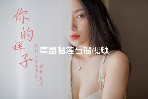 草莓榴莲石榴视频